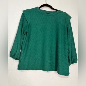 Anthropologie W5  Green Dotted Swiss Women's Top w/Long Sleeves. Sz M.